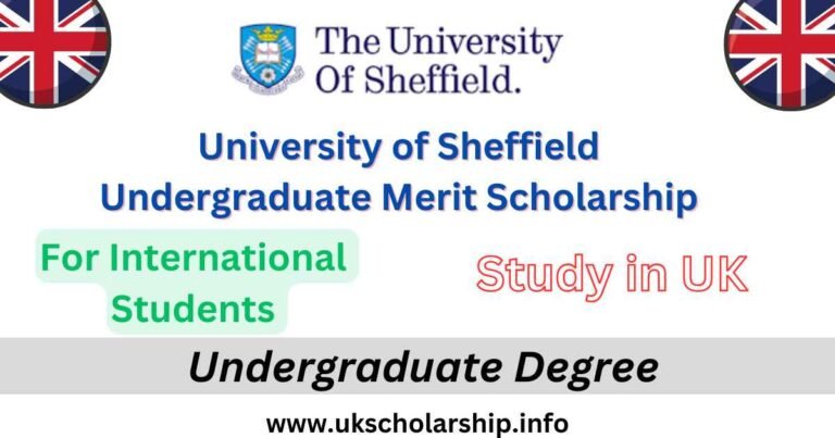 University of Sheffield Undergraduate Merit Scholarship